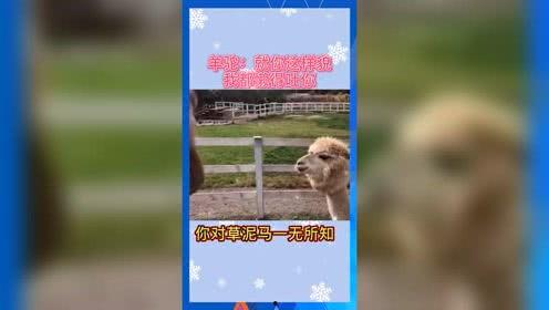 娛樂吃瓜2022,盤點年度熱點事件與明星幕后故事