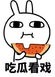娛樂吃瓜醬不用做鼻子,揭秘明星隱私，不做鼻子也能暢游娛樂圈