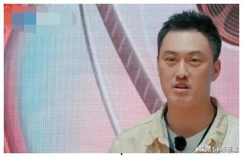 娛樂圈吃瓜前線